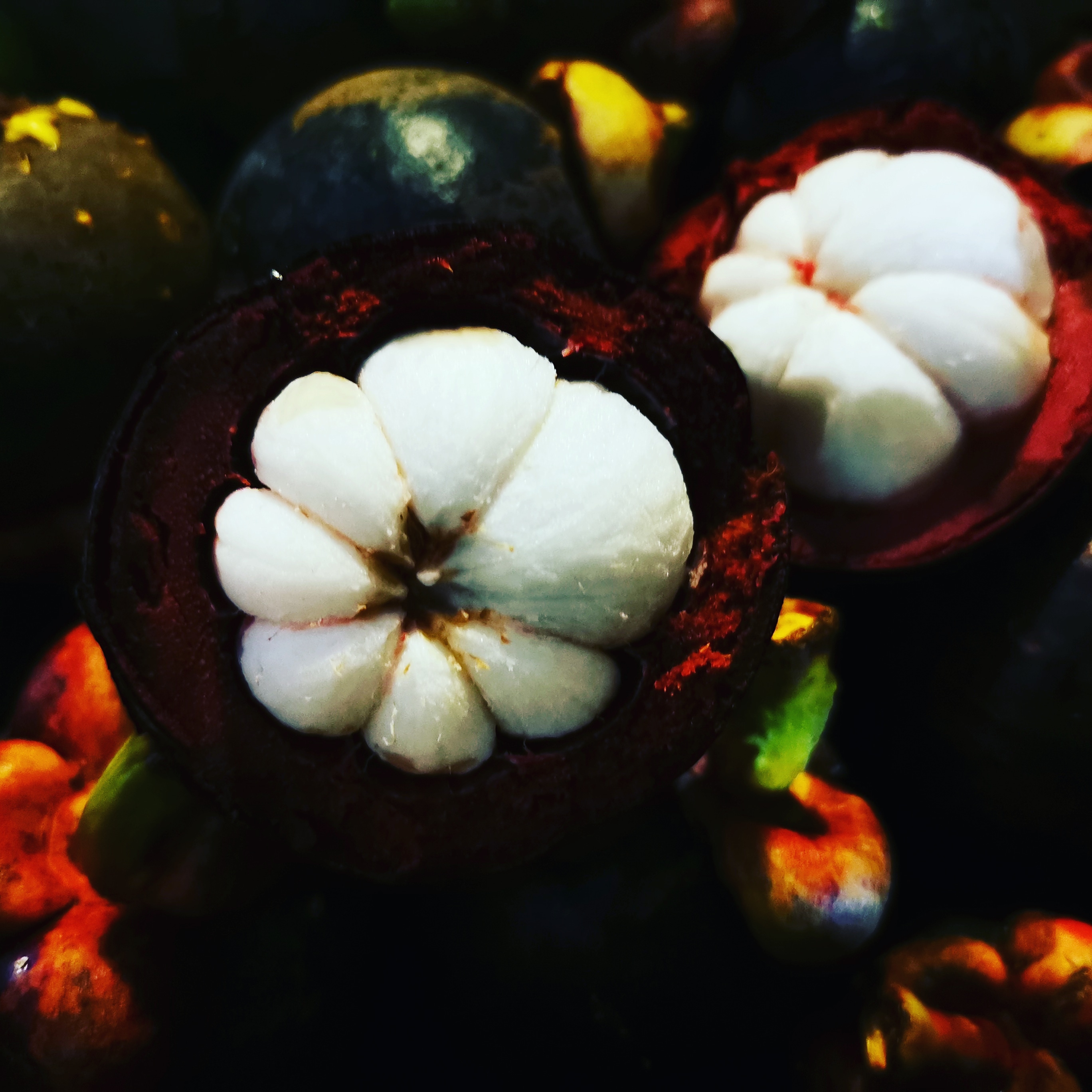 Mangosteen | One of the big four
